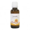 Lavender Essential Oil