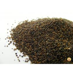 Basil Seed, Tulsi seed Organic