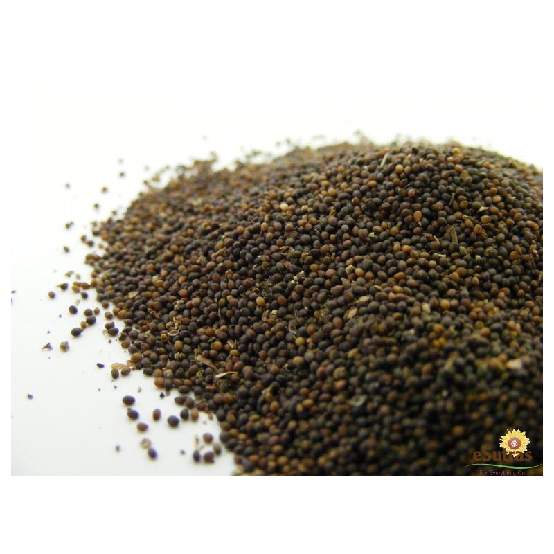 Basil Seed