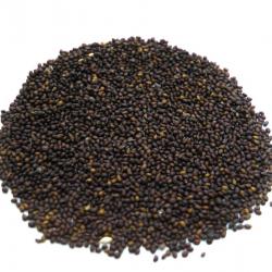 Basil Seed, Tulsi seed Organic