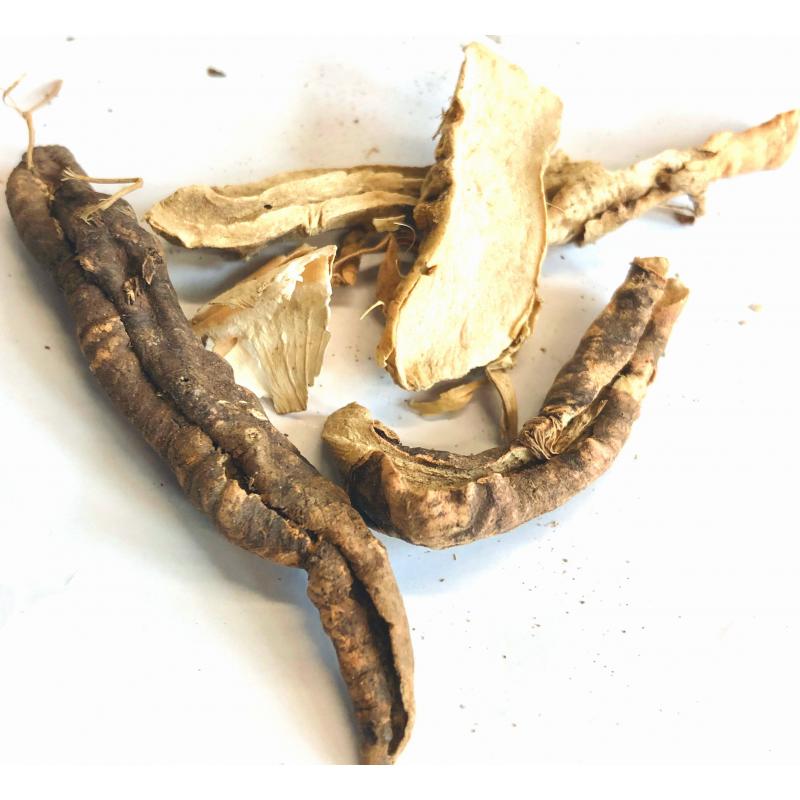 Orris Root