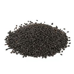 Fresh dried holy basil seeds