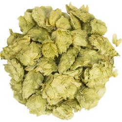 Dried Organic Hops