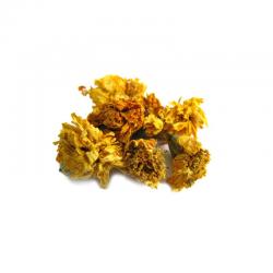Calendula flowers...